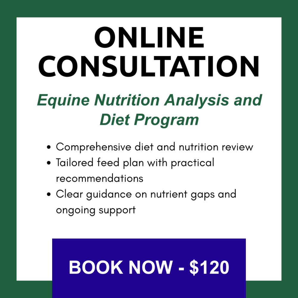In-Person Nutrition Consultation